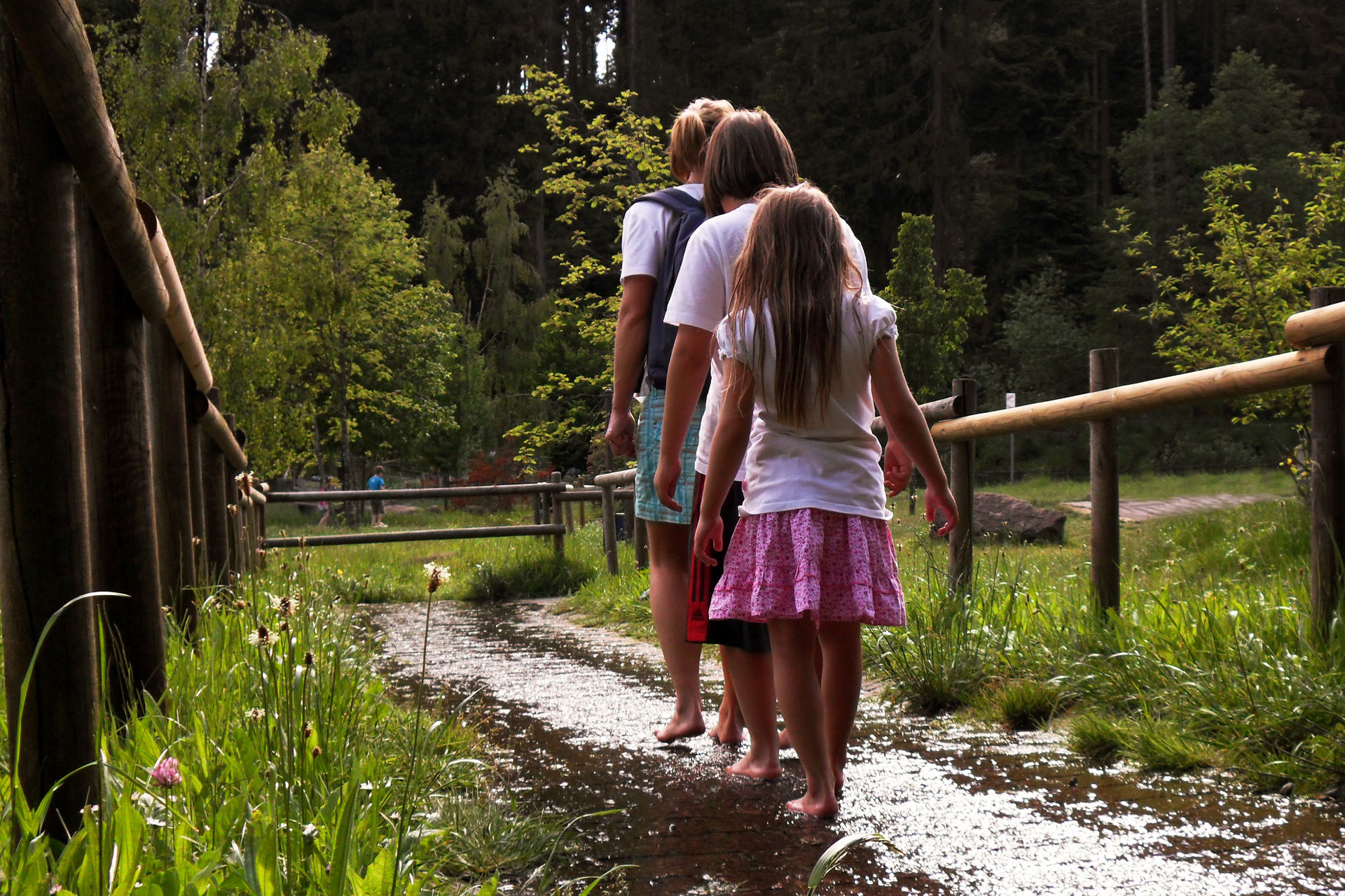 schwarzwald-chalets-barfusspfad-hallwangen