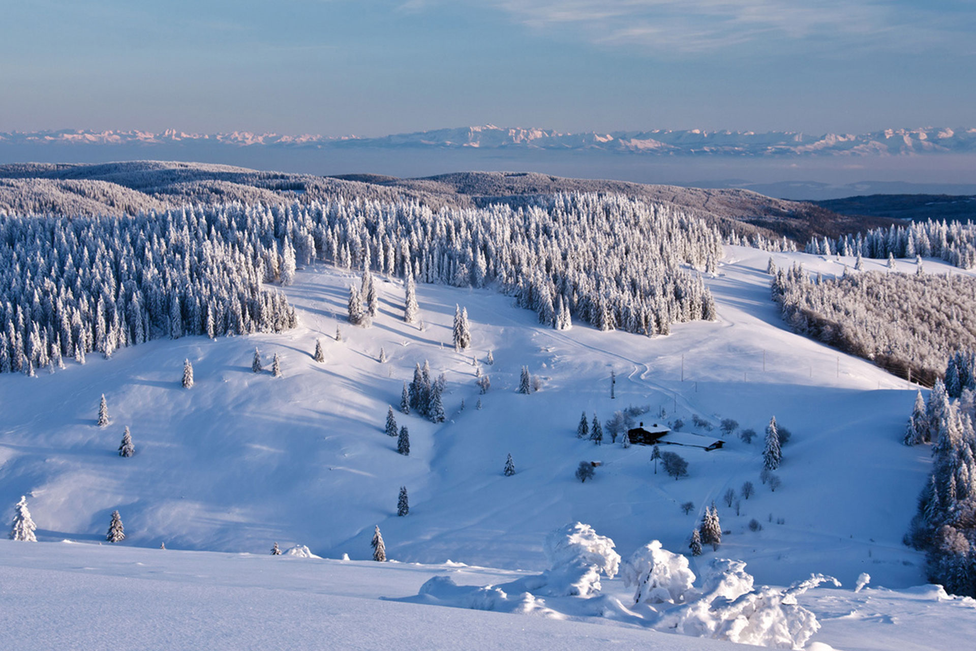 schwarzwald-chalets-winter